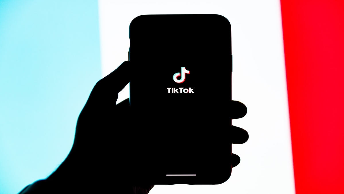 Who Viewed Your Posts on TikTok
