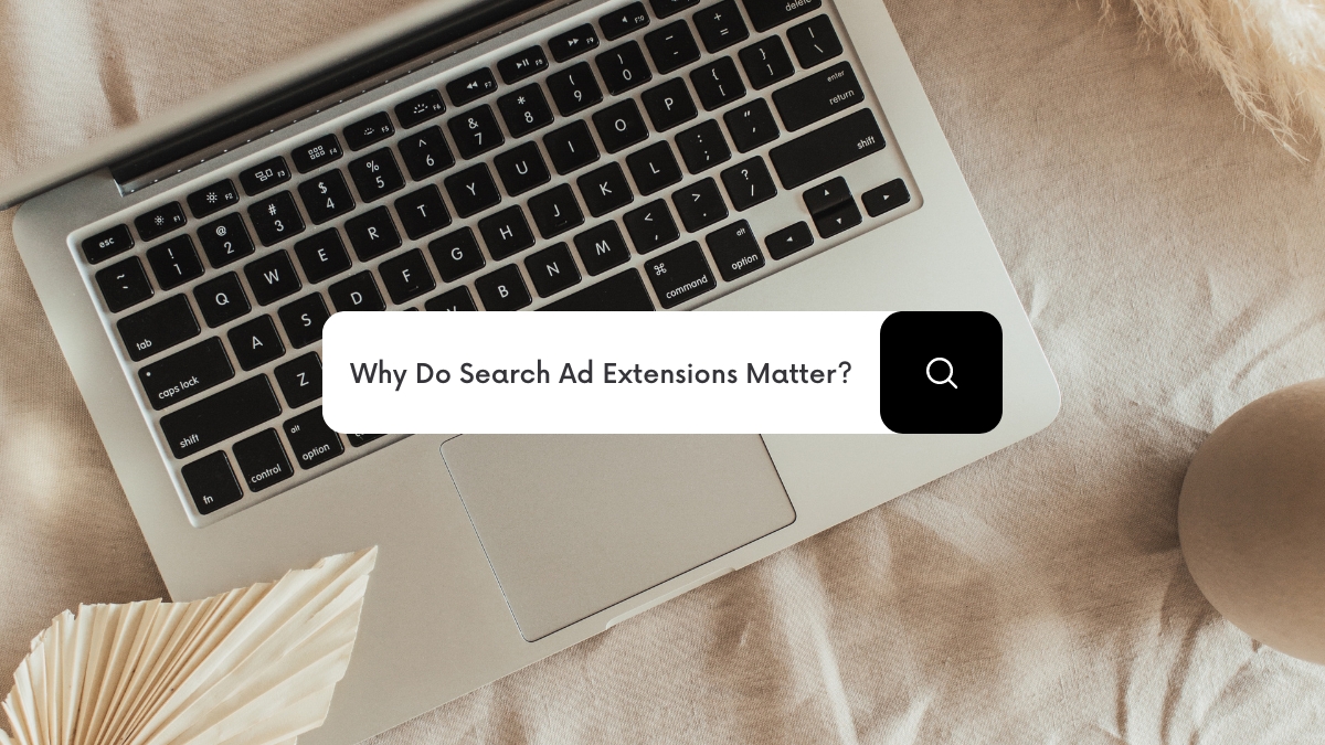 Why Do Search Ad Extensions Matter?